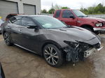 2016 Nissan Maxima 3.5s Gray vin: 1N4AA6AP9GC416269