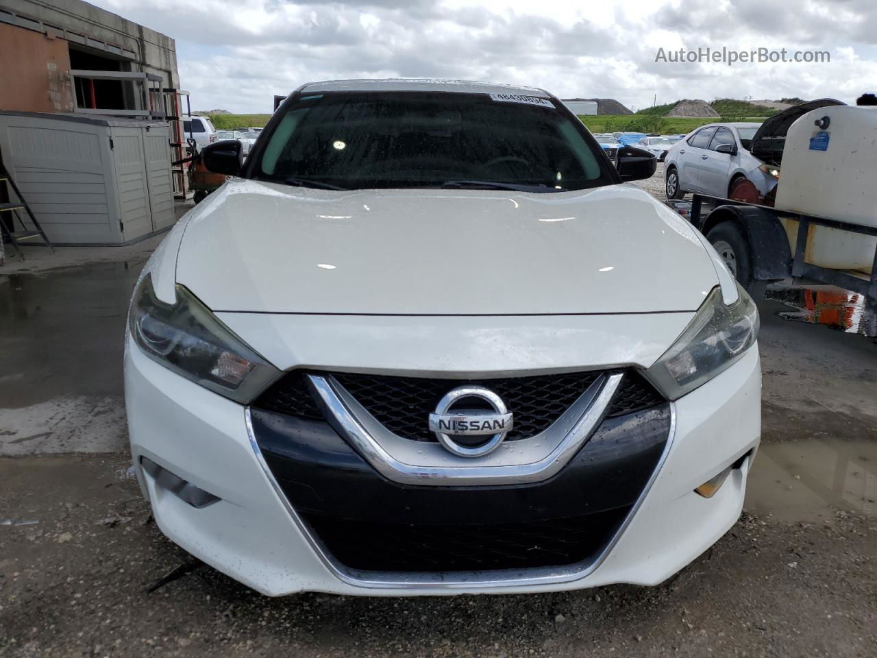 2016 Nissan Maxima 3.5s White vin: 1N4AA6AP9GC417535