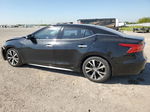 2016 Nissan Maxima 3.5s Black vin: 1N4AA6AP9GC449496