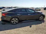 2016 Nissan Maxima 3.5s Black vin: 1N4AA6AP9GC449496