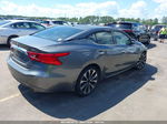 2017 Nissan Maxima 3.5 Sr Gray vin: 1N4AA6AP9HC379273