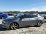 2017 Nissan Maxima 3.5s Gray vin: 1N4AA6AP9HC390662