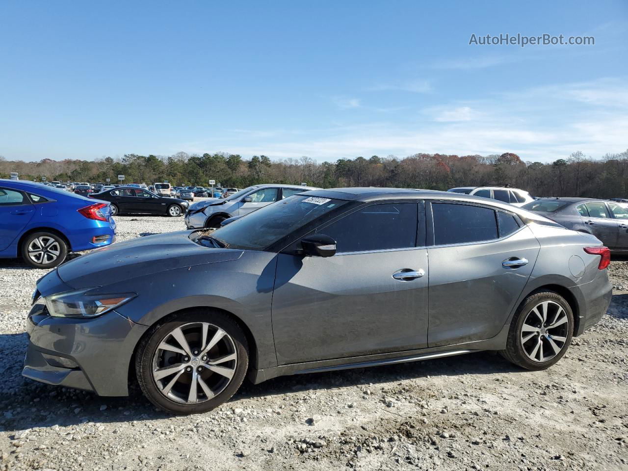 2017 Nissan Maxima 3.5s Серый vin: 1N4AA6AP9HC390662