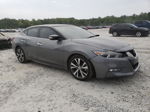 2017 Nissan Maxima 3.5s Gray vin: 1N4AA6AP9HC424308