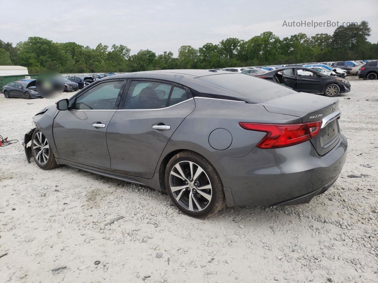 2017 Nissan Maxima 3.5s Gray vin: 1N4AA6AP9HC424308