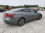 2017 Nissan Maxima 3.5s Gray vin: 1N4AA6AP9HC424308