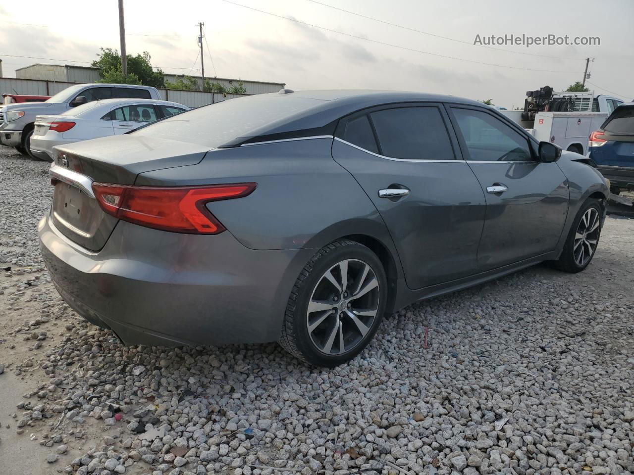 2017 Nissan Maxima 3.5s Серый vin: 1N4AA6AP9HC436958