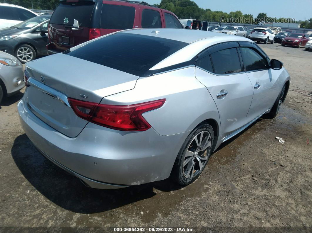 2017 Nissan Maxima Sv Серый vin: 1N4AA6AP9HC445742