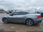 2016 Nissan Maxima 3.5 Platinum Gray vin: 1N4AA6APXGC385758