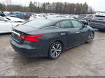 2016 Nissan Maxima 3.5 Sl Gray vin: 1N4AA6APXGC406592