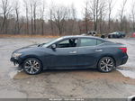 2016 Nissan Maxima 3.5 Sl Gray vin: 1N4AA6APXGC406592