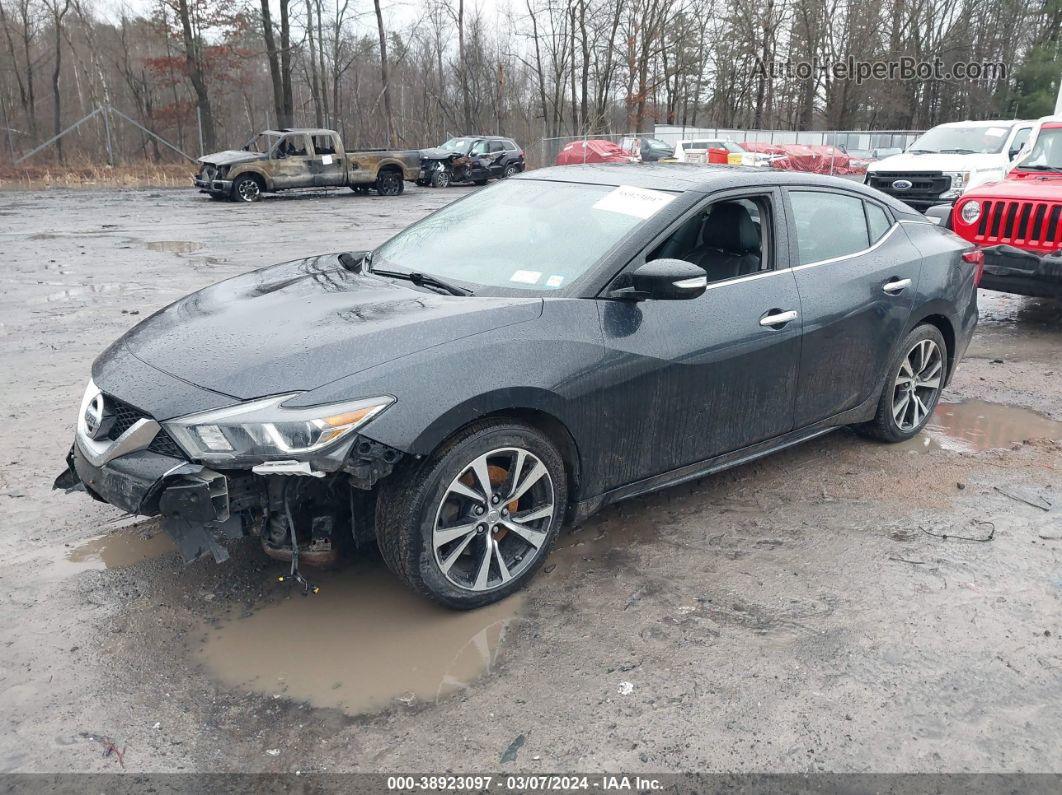 2016 Nissan Maxima 3.5 Sl Gray vin: 1N4AA6APXGC406592