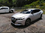 2016 Nissan Maxima 3.5 Silver vin: 1N4AA6APXGC411310