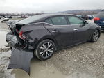 2016 Nissan Maxima 3.5s Фиолетовый vin: 1N4AA6APXGC445361