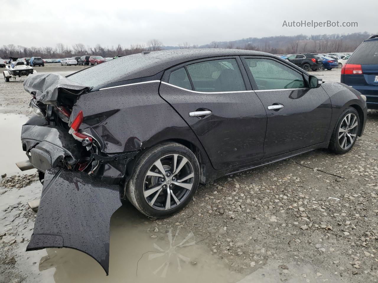 2016 Nissan Maxima 3.5s Фиолетовый vin: 1N4AA6APXGC445361