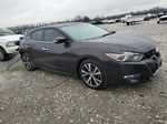 2016 Nissan Maxima 3.5s Фиолетовый vin: 1N4AA6APXGC445361