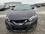 2016 Nissan Maxima 3.5s Фиолетовый vin: 1N4AA6APXGC445361