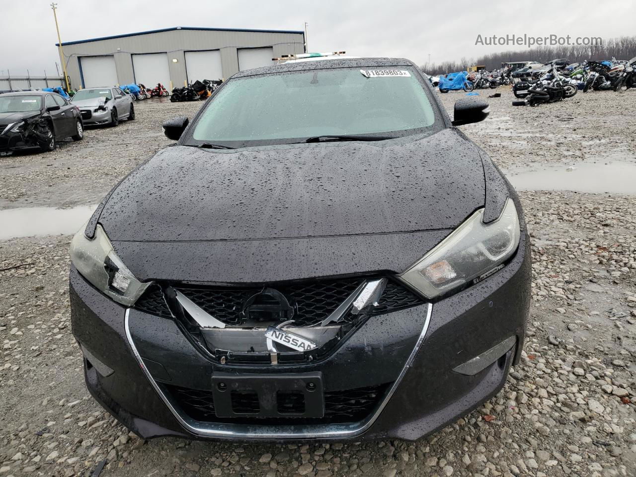 2016 Nissan Maxima 3.5s Фиолетовый vin: 1N4AA6APXGC445361