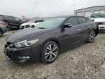 2016 Nissan Maxima 3.5s Фиолетовый vin: 1N4AA6APXGC445361