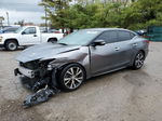 2017 Nissan Maxima 3.5s Gray vin: 1N4AA6APXHC371330