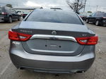 2017 Nissan Maxima 3.5s Gray vin: 1N4AA6APXHC371330