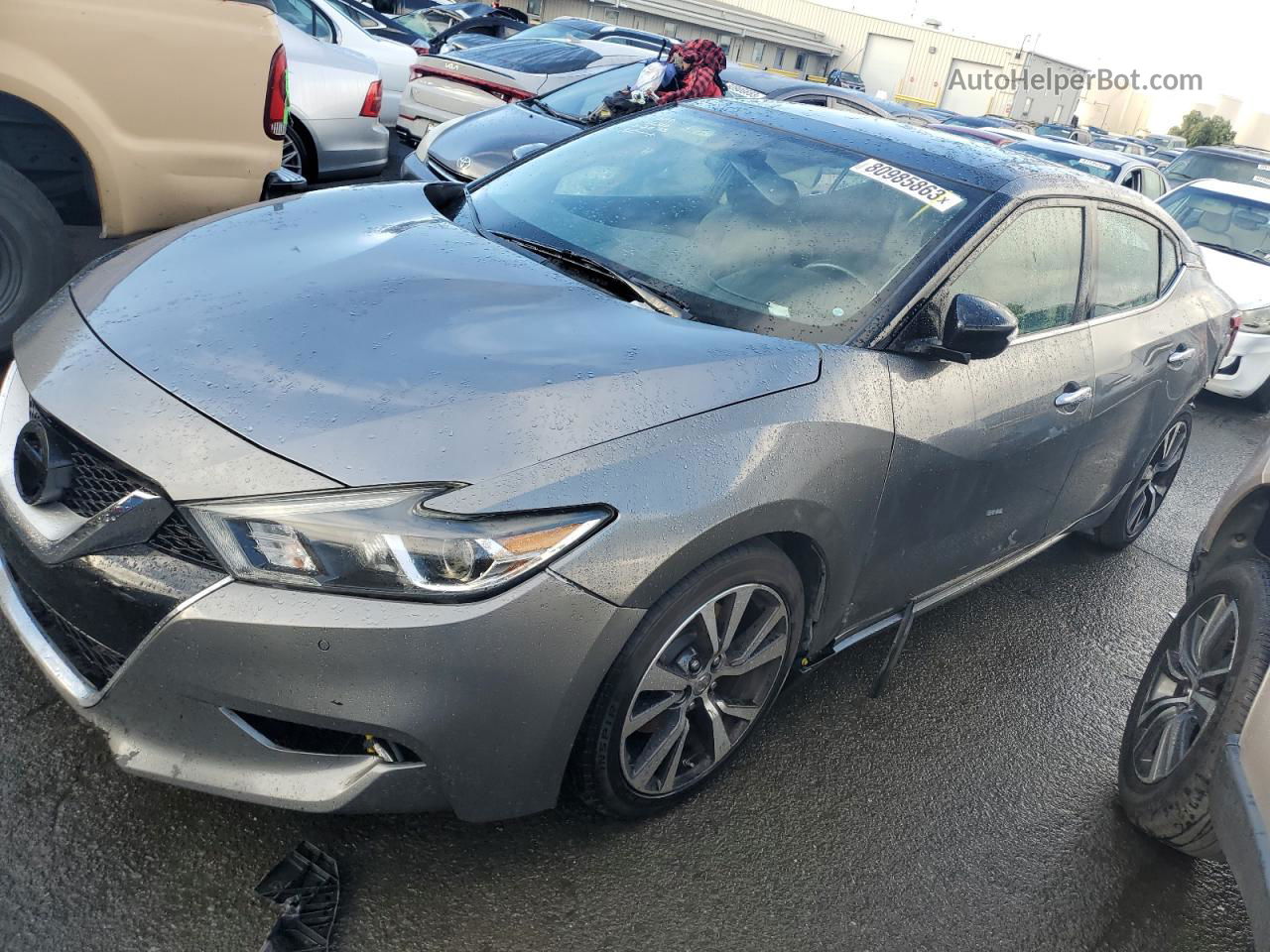 2017 Nissan Maxima 3.5s Gray vin: 1N4AA6APXHC373272