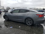 2017 Nissan Maxima 3.5s Gray vin: 1N4AA6APXHC374616