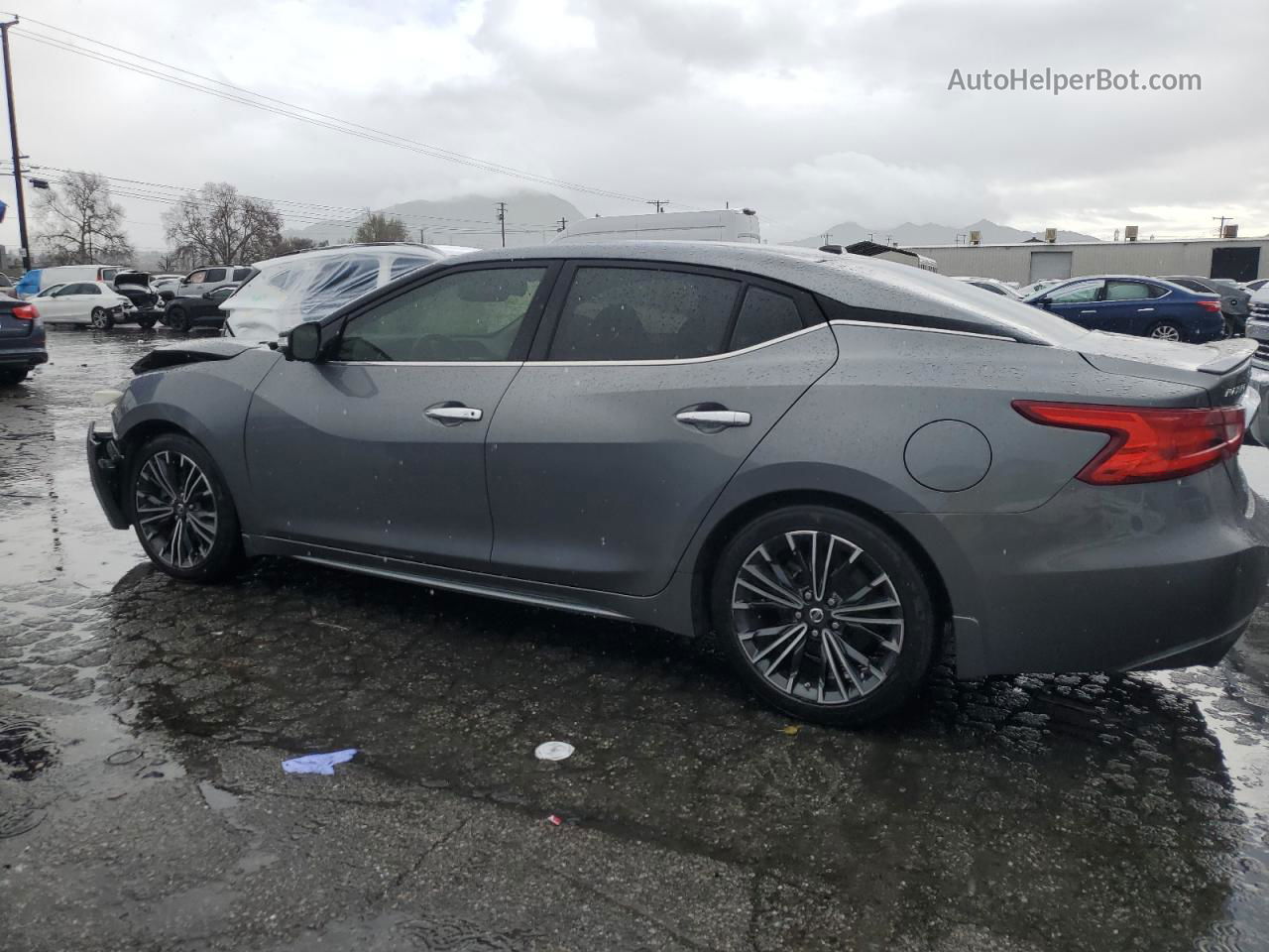 2017 Nissan Maxima 3.5s Gray vin: 1N4AA6APXHC374616