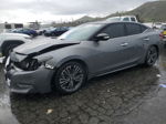 2017 Nissan Maxima 3.5s Gray vin: 1N4AA6APXHC374616