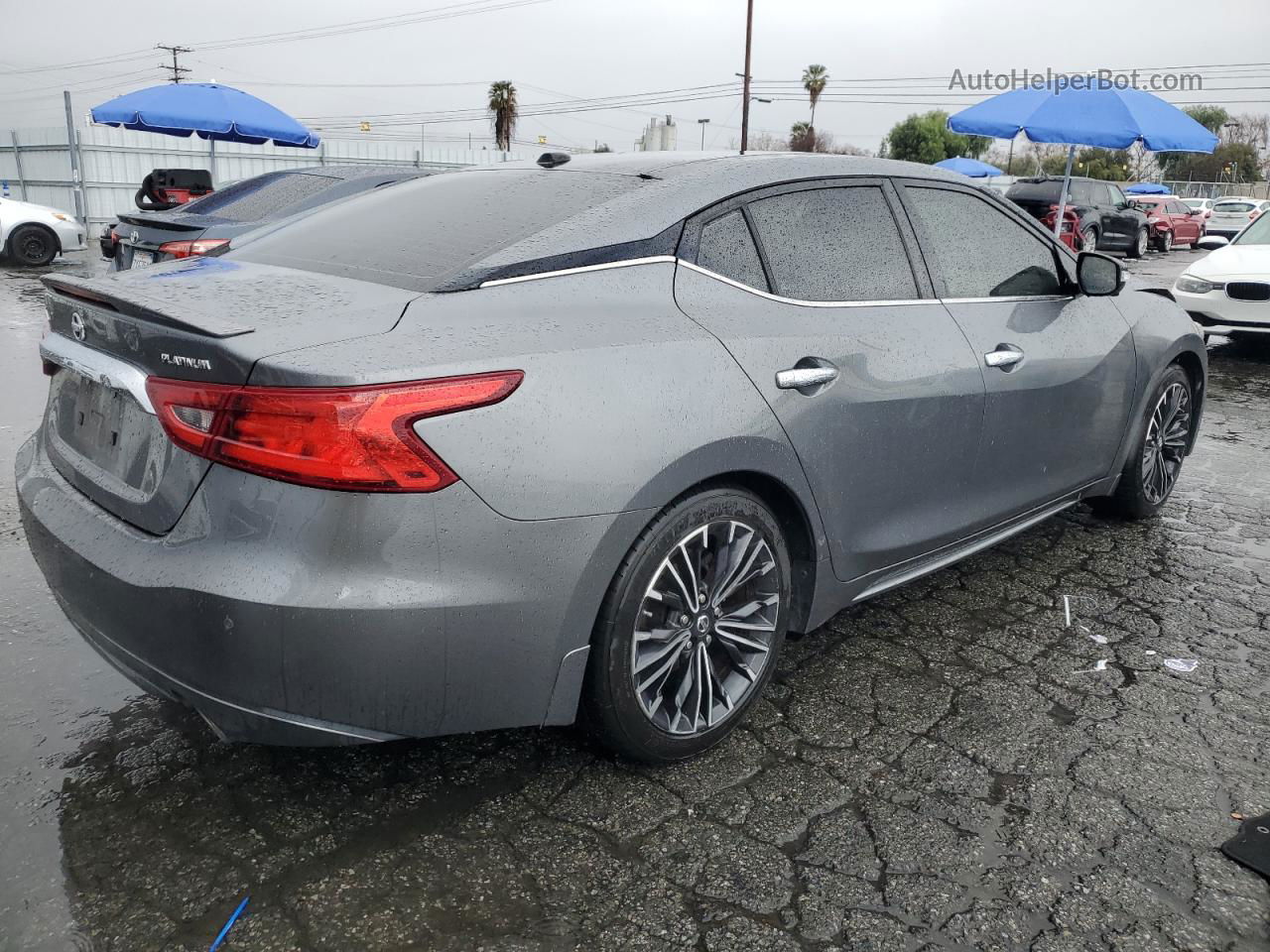 2017 Nissan Maxima 3.5s Gray vin: 1N4AA6APXHC374616