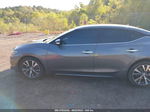 2017 Nissan Maxima 3.5 Platinum/3.5 S/3.5 Sl/3.5 Sr/3.5 Sv Gray vin: 1N4AA6APXHC383459