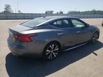 2017 Nissan Maxima 3.5s Gray vin: 1N4AA6APXHC410935