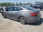 2017 Nissan Maxima 3.5s Gray vin: 1N4AA6APXHC410935