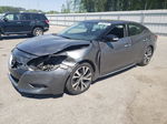 2017 Nissan Maxima 3.5s Gray vin: 1N4AA6APXHC410935