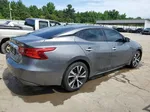 2017 Nissan Maxima 3.5s Gray vin: 1N4AA6APXHC451470