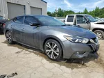 2017 Nissan Maxima 3.5s Gray vin: 1N4AA6APXHC451470