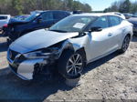 2020 Nissan Maxima Sv Xtronic Cvt Silver vin: 1N4AA6CV2LC364103