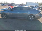 2020 Nissan Maxima Sl Xtronic Cvt Gray vin: 1N4AA6DV4LC374159