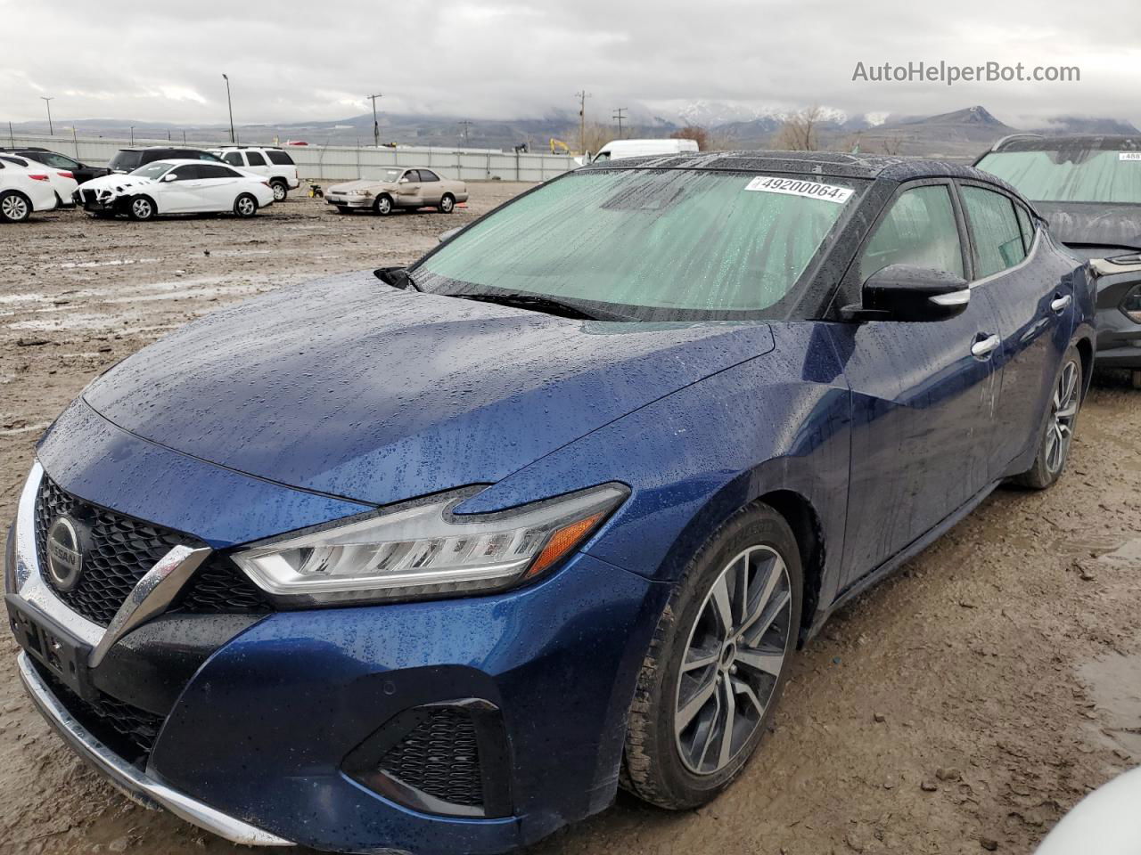 2020 Nissan Maxima Sl Blue vin: 1N4AA6DV6LC374812