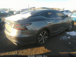 2020 Nissan Maxima Sl Xtronic Cvt Серый vin: 1N4AA6DV6LC379217