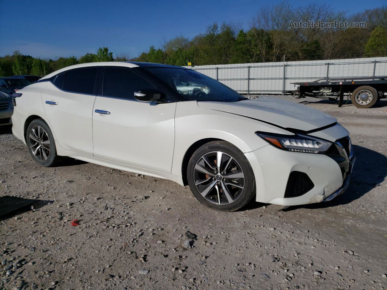 2020 Nissan Maxima Sl White vin: 1N4AA6DV9LC365800