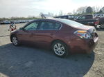 2011 Nissan Altima Base Burgundy vin: 1N4AL2AP0BN500299