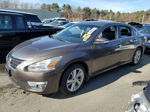 2014 Nissan Altima 2.5 Brown vin: 1N4AL3AP0EC131286