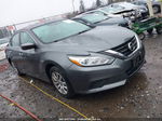 2016 Nissan Altima 2.5/2.5 S/2.5 Sl/2.5 Sr/2.5 Sv Gray vin: 1N4AL3AP0GN335223