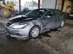 2016 Nissan Altima 2.5 Gray vin: 1N4AL3AP0GN343323