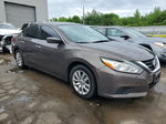 2016 Nissan Altima 2.5 Brown vin: 1N4AL3AP0GN376998