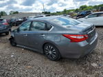 2016 Nissan Altima 2.5 Gray vin: 1N4AL3AP1GN324635