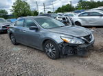 2016 Nissan Altima 2.5 Gray vin: 1N4AL3AP1GN324635