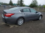 2017 Nissan Altima 2.5 Gray vin: 1N4AL3AP1HN358382