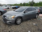 2015 Nissan Altima 2.5 Gray vin: 1N4AL3AP2FC254881